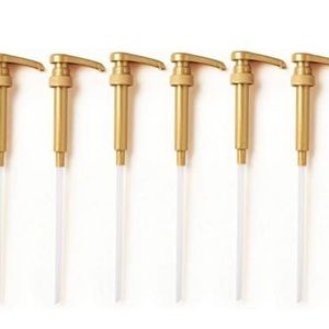 9 EUC syrup pumps. Fits into the large toranis bottles. Works great no issues